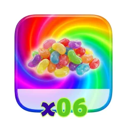 x06